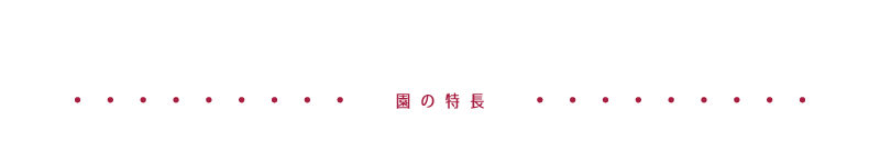 園の特徴